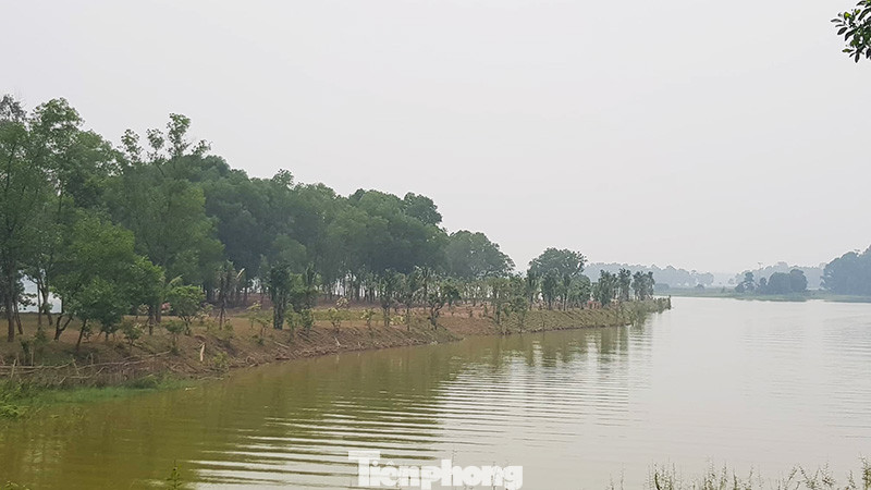 Dự án 'xẻ thịt' hồ Đồng Mô vẫn đổ đất thi công trong quá trình thanh tra ảnh 7