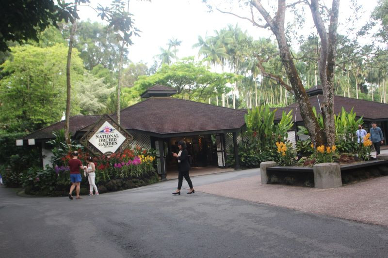 Vườn thực vật Singapore. Ảnh: Văn Kiên