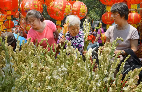 Người dân đi mua hoa bán dạo trên đường ở Jakarta để chuẩn bị đón năm con rắn