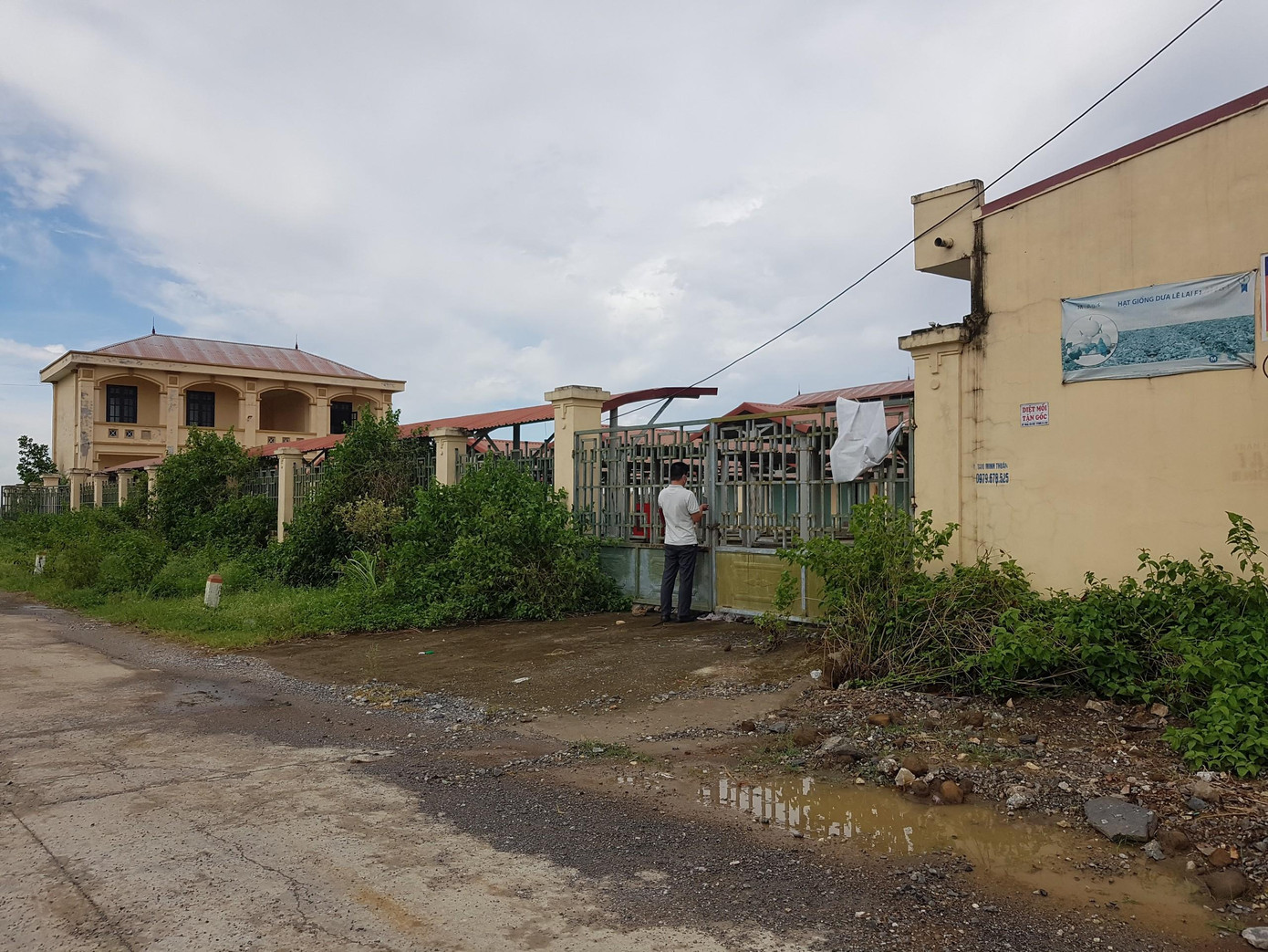 Cỏ dại mọc um tùm. Ảnh: Đ.C