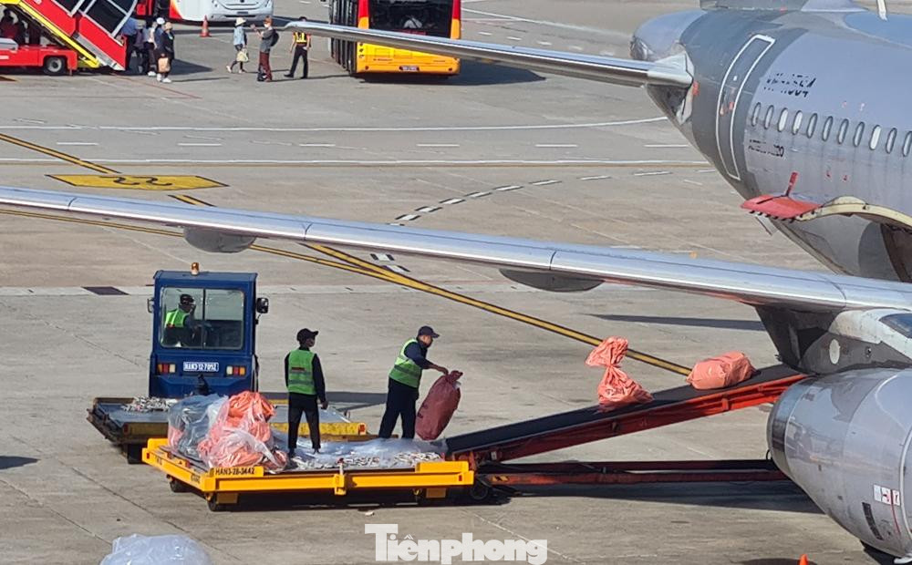 Bộ GTVT triển khai kế hoạch phòng chống buôn lậu, gian lận thương mại, vận chuyển trái phép hàng hóa qua cảng hàng không quốc tế (Ảnh chỉ có tính chất minh họa). Bộ GTVT triển khai kế hoạch phòng chống buôn lậu, gian lận thương mại, vận chuyển trái phép hàng hóa qua cảng hàng không quốc tế (Ảnh chỉ có tính chất minh họa).