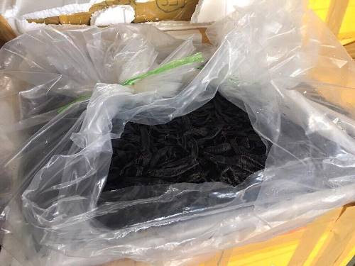 Bắt giữ 960 kg đỉa khô trên xe khách Móng Cái – Hạ Long ảnh 1