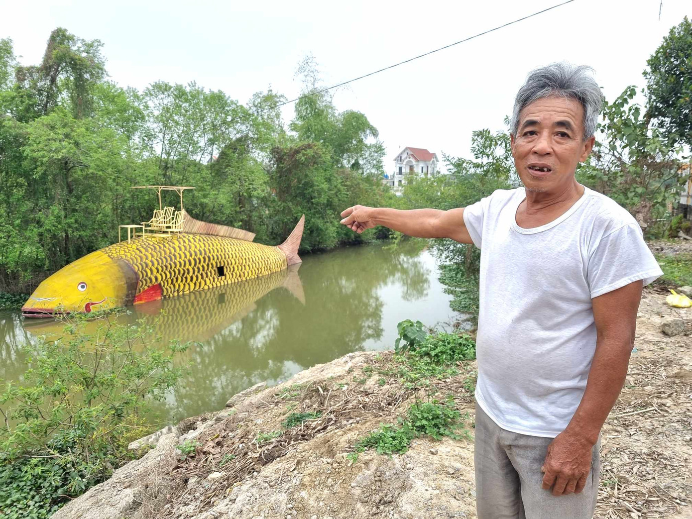 Người dân trầm trồ về cá chép vàng trên sông Hoàng Long. Người dân trầm trồ về cá chép vàng trên sông Hoàng Long.