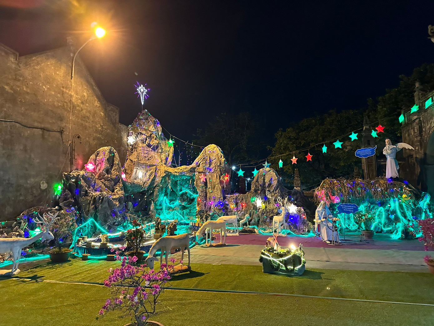 Hang đá máng cỏ, nơi Chúa sinh ra. Hang đá máng cỏ, nơi Chúa sinh ra.