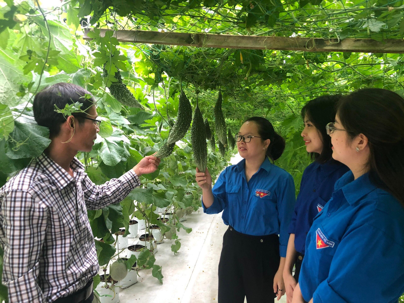 Mô hình hỗ trợ thanh niên phát triển kinh tế Mô hình hỗ trợ thanh niên phát triển kinh tế