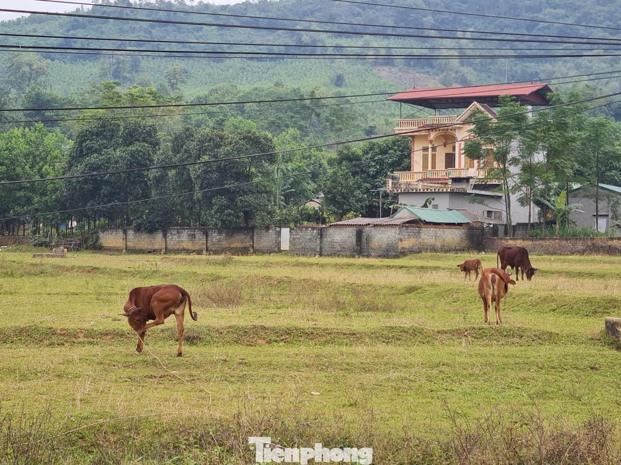 Dự án Khu đô thị Tiến Xuân Sudico nằm trong danh sách 29 dự án có dấu hiệu vi phạm, đề nghị bãi bỏ quyết định giao đất, cho thuê đất, chấm dứt dự án đầu tư. Dự án Khu đô thị Tiến Xuân Sudico nằm trong danh sách 29 dự án có dấu hiệu vi phạm, đề nghị bãi bỏ quyết định giao đất, cho thuê đất, chấm dứt dự án đầu tư.