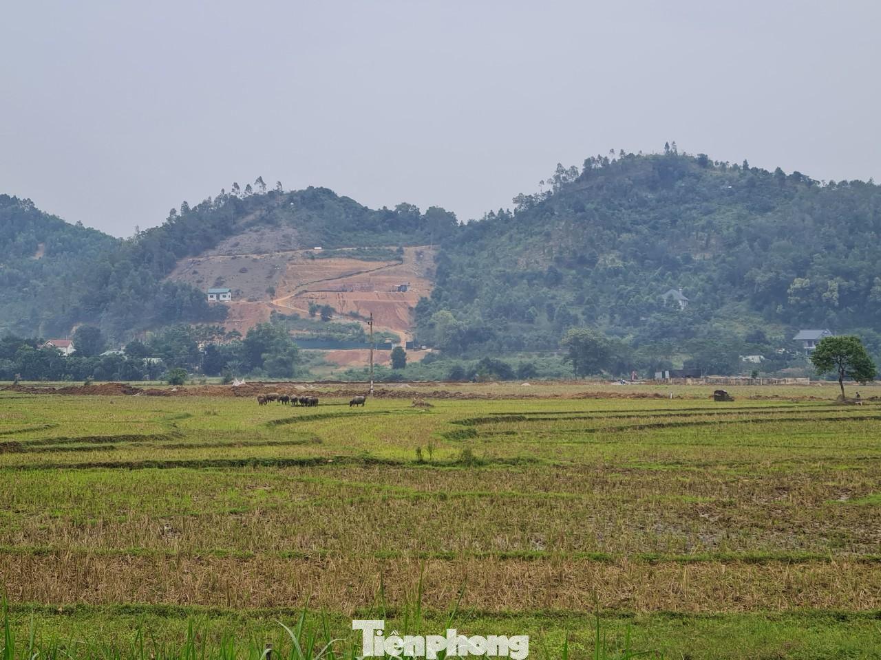 Khu đô thị Tiến Xuân Sudico rộng hơn 1.200 ha sau gần 15 năm vẫn chỉ "nằm trên giấy". Khu đô thị Tiến Xuân Sudico rộng hơn 1.200 ha sau gần 15 năm vẫn chỉ "nằm trên giấy".
