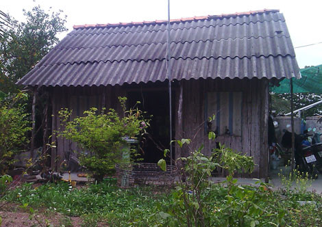 Kỳ lạ người đàn bà 25 năm… 'nghiện rau’, ăn mặn là xỉu ảnh 1