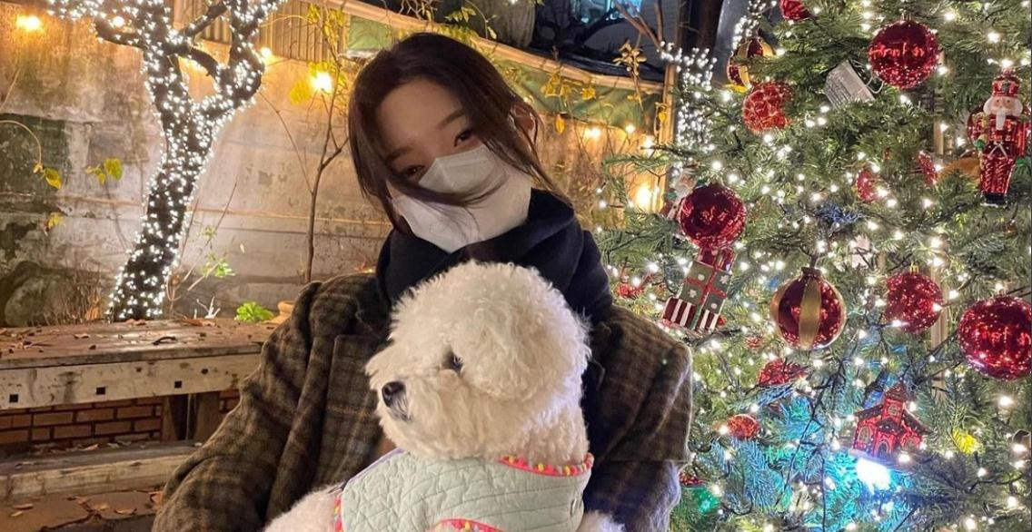 Những 'người chơi hệ đẹp' như Suzy, Yura (Girl’s Day) và Chaeyeon (DIA) chọn cách đón Giáng sinh ấm áp và đơn giản.