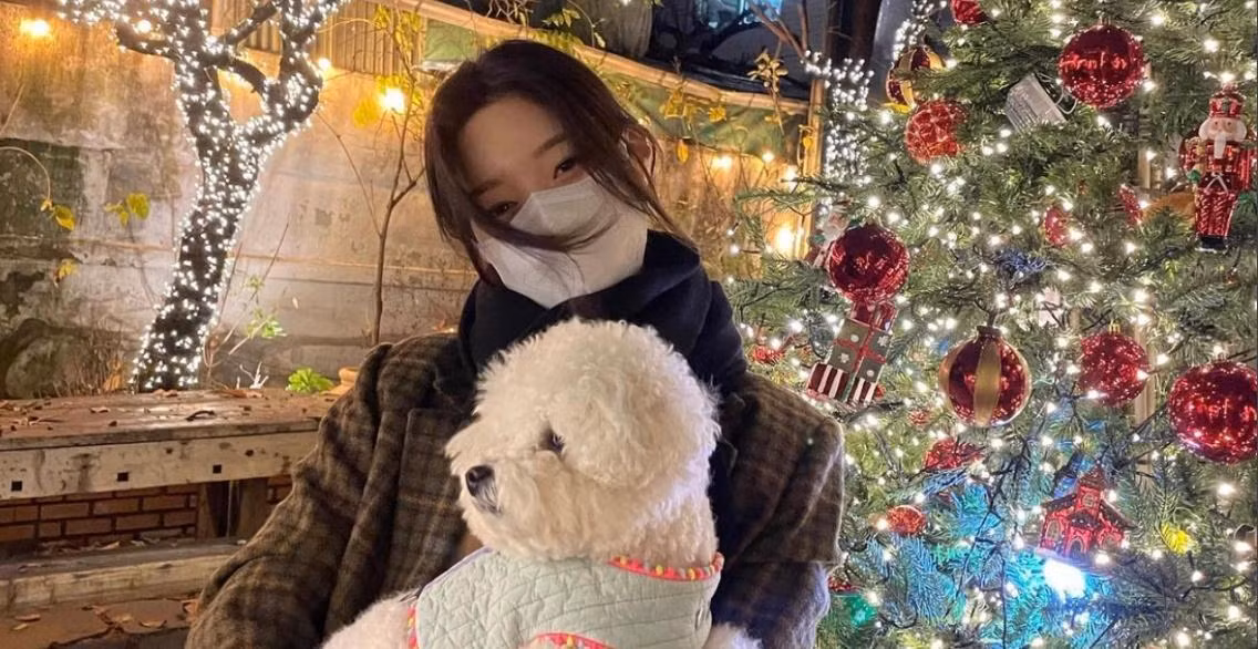 Những 'người chơi hệ đẹp' như Suzy, Yura (Girl’s Day) và Chaeyeon (DIA) chọn cách đón Giáng sinh ấm áp và đơn giản.