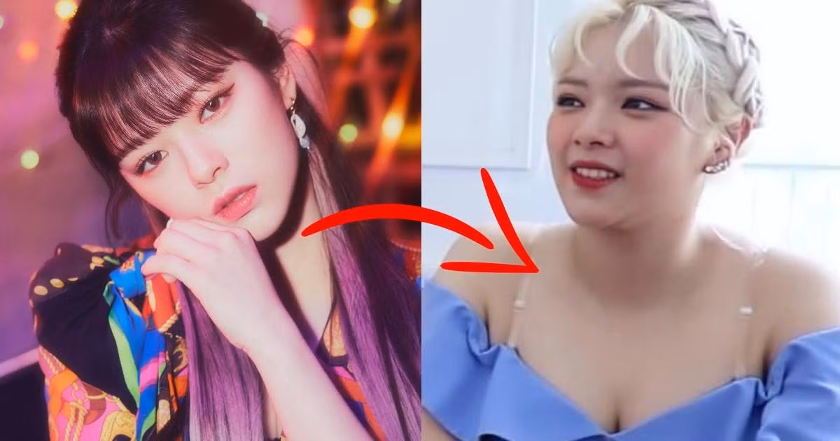 Thực sự Jeongyeon đã phải đối mặt với rất nhiều vấn đề sức khỏe khác nhau. Và mặc dù cô luôn tự tin và vui vẻ, nhưng việc tăng cân không ngừng và ngoại hình không còn gọn gàng như xưa đã khiến 'nữ thần tượng' vô cùng áp lực.