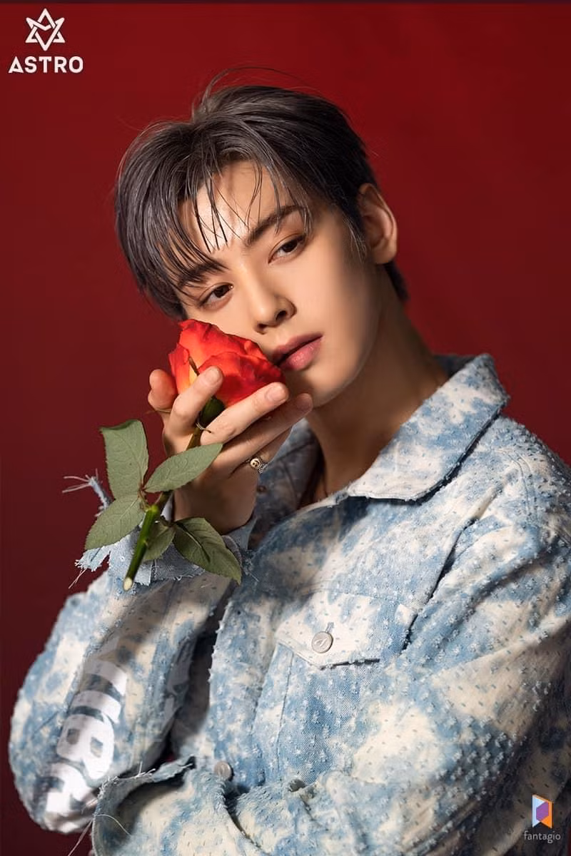 "Decibel" chính là “một bước tiến lớn” trong sự nghiệp diễn xuất của Cha Eun Woo. “Mỹ nam đẹp hơn hoa” này sẽ vào vai một thủy thủ trẻ đầy tiềm năng và vô cùng kiên định, phụ trách giám sát và phát hiện sóng siêu âm.