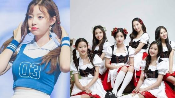 Những hành động bắt nạt của AOA và APRIL bị “bóc trần” khiến công chúng choáng váng.