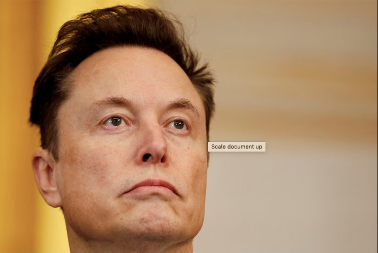 Tỷ phú Elon Musk. (Ảnh: Reuters)