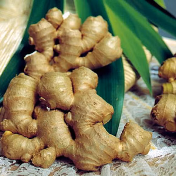 Những thực phẩm “kỵ” ung thư tiền liệt tuyến