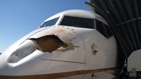 Mũi của chiếc Boeing 737 bị chim đâm thủng một lỗ lớn. Ảnh: ABC News