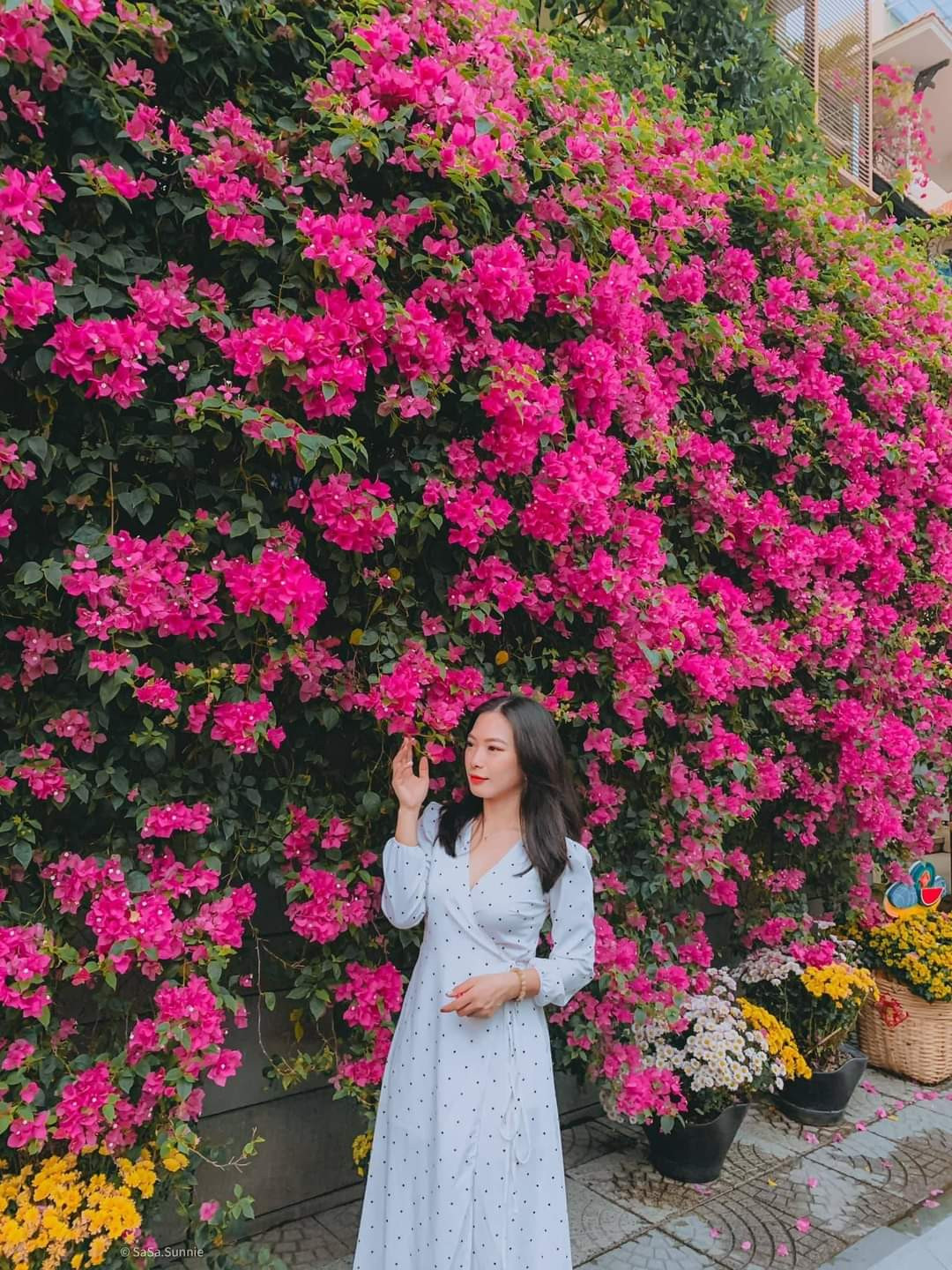 “Nàng thơ” khoe sắc bên giàn hoa giấy. (Ảnh: Trịnh Khánh Linh) “Nàng thơ” khoe sắc bên giàn hoa giấy. (Ảnh: Trịnh Khánh Linh)