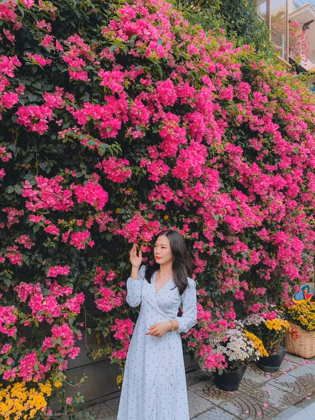 “Nàng thơ” khoe sắc bên giàn hoa giấy. (Ảnh: Trịnh Khánh Linh)
