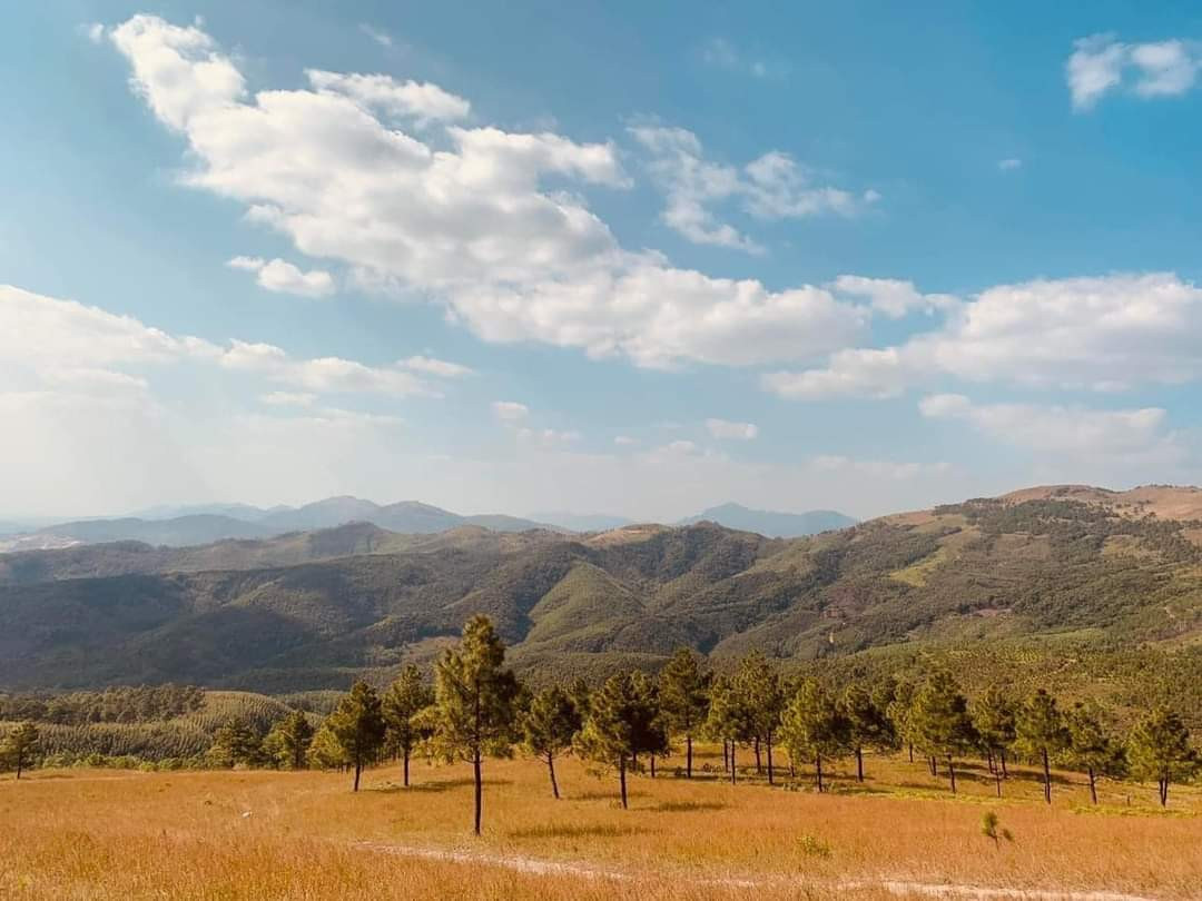 Khung cảnh tựa vùng ngoại ô châu Âu. Ảnh:Trang Anh Hoàng