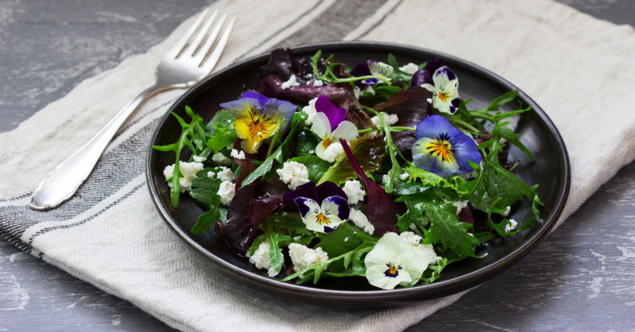 Không chỉ đẹp, những bông hoa tươi còn là nguyên liệu nấu ăn. Không chỉ đẹp, những bông hoa tươi còn là nguyên liệu nấu ăn.