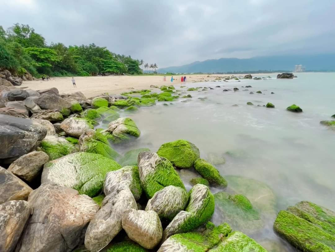 Những tảng đá phủ đầy sắc xanh tại rạn Nam Ô. (Ảnh: Nhật Nguyễn)