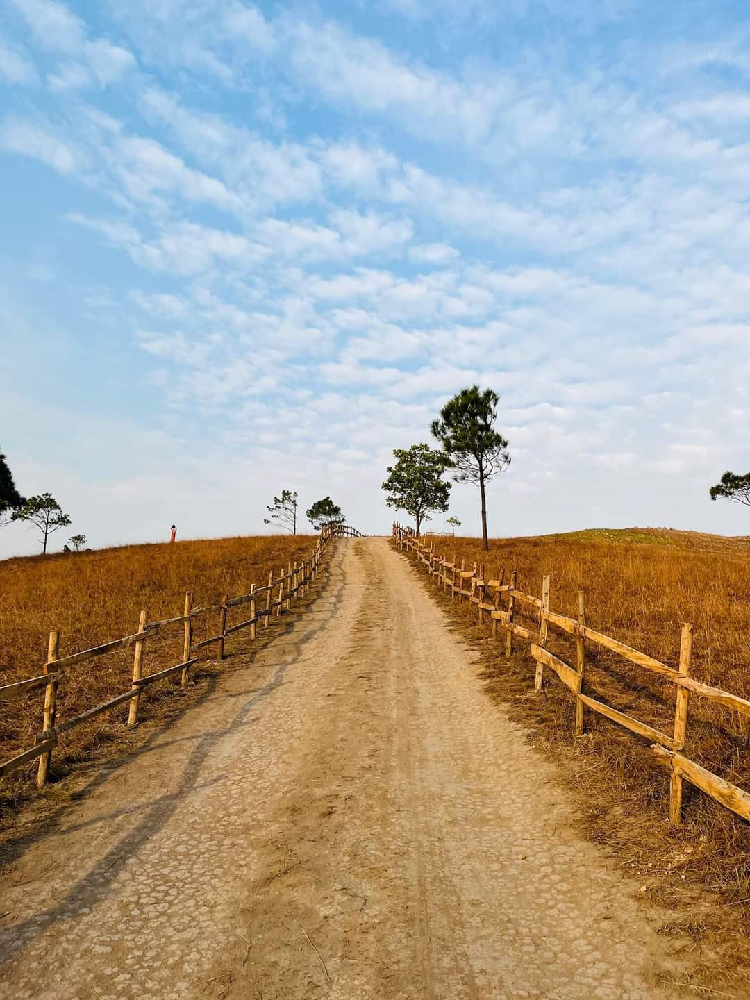 Background cực “xịn xò” đốn tim hội "đam mê xê dịch". Ảnh: Hanh Moon