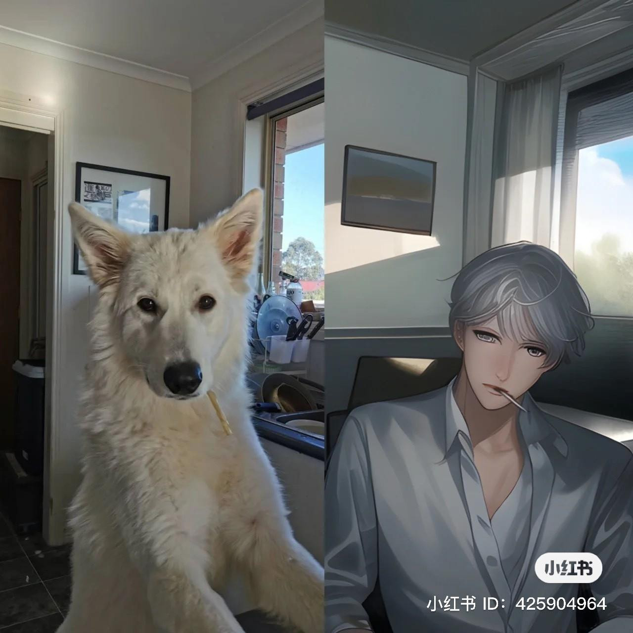 Hoá ra một chú cún cũng có thể đẹp trai đến vậy! (Ảnh: Fanpage Weibo Việt Nam)