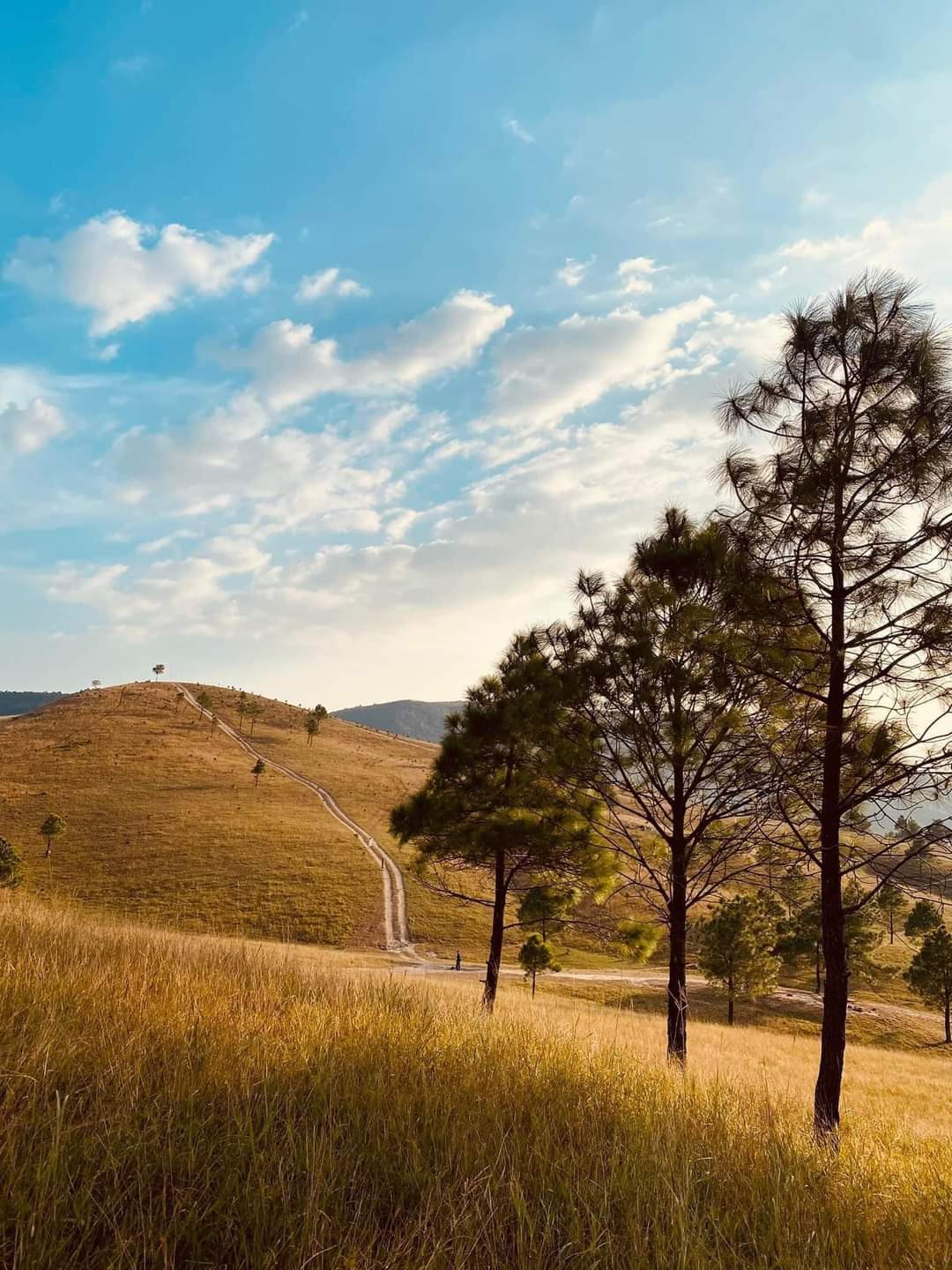 Khung cảnh lãng mạn, thơ mộng tại đồi Phượng Hoàng. Ảnh: Trang Anh Hoàng