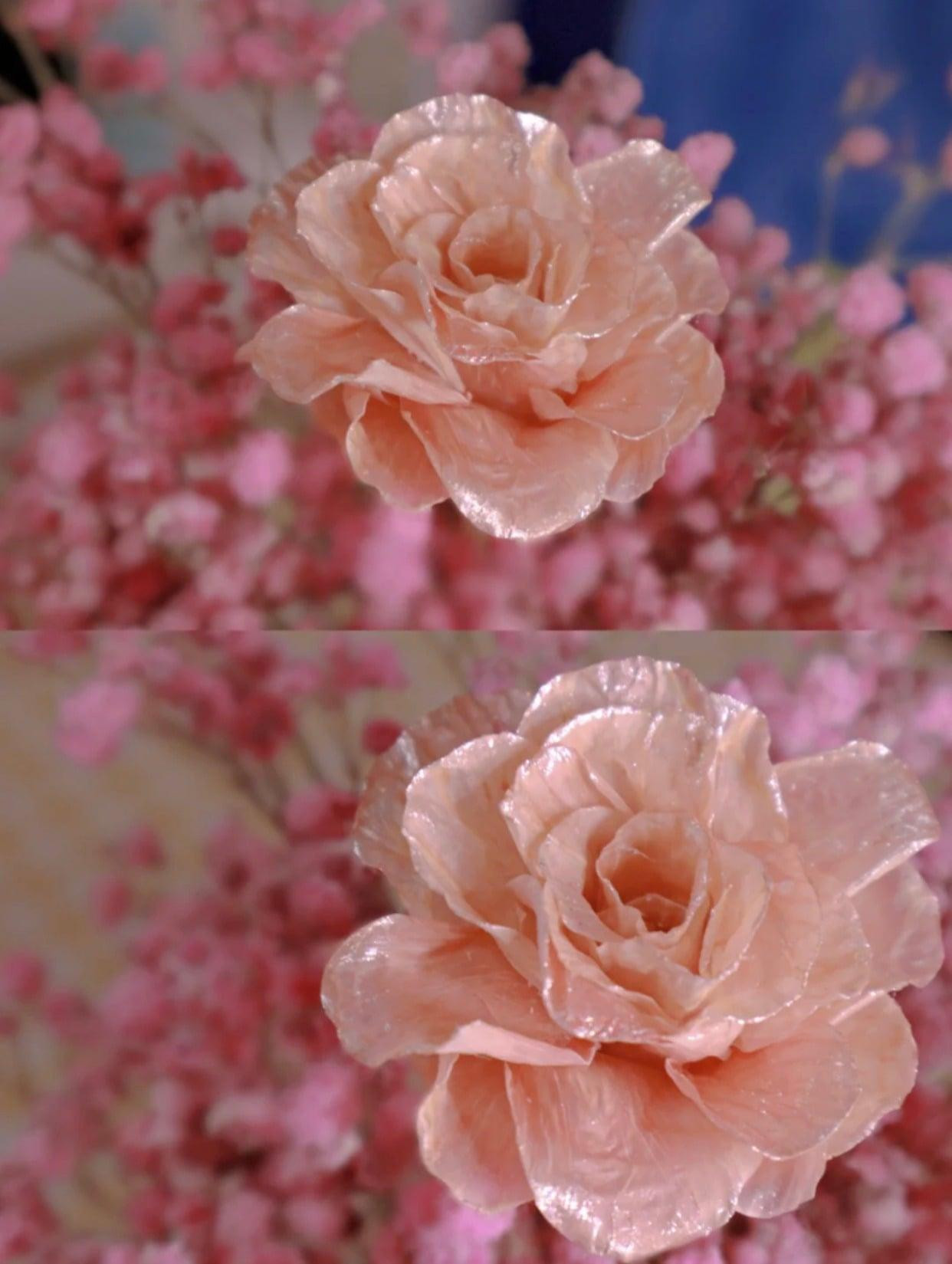 Đâu ai nghĩ rằng vỏ múi bưởi lại có thể làm ra được những bông hồng đẹp thế này! Đâu ai nghĩ rằng vỏ múi bưởi lại có thể làm ra được những bông hồng đẹp thế này!