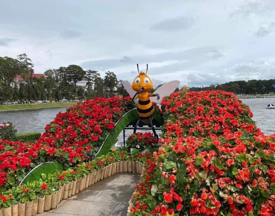 Tiểu cảnh hoa xung quanh Hồ Xuân Hương. (Ảnh: Thế Văn) Tiểu cảnh hoa xung quanh Hồ Xuân Hương. (Ảnh: Thế Văn)