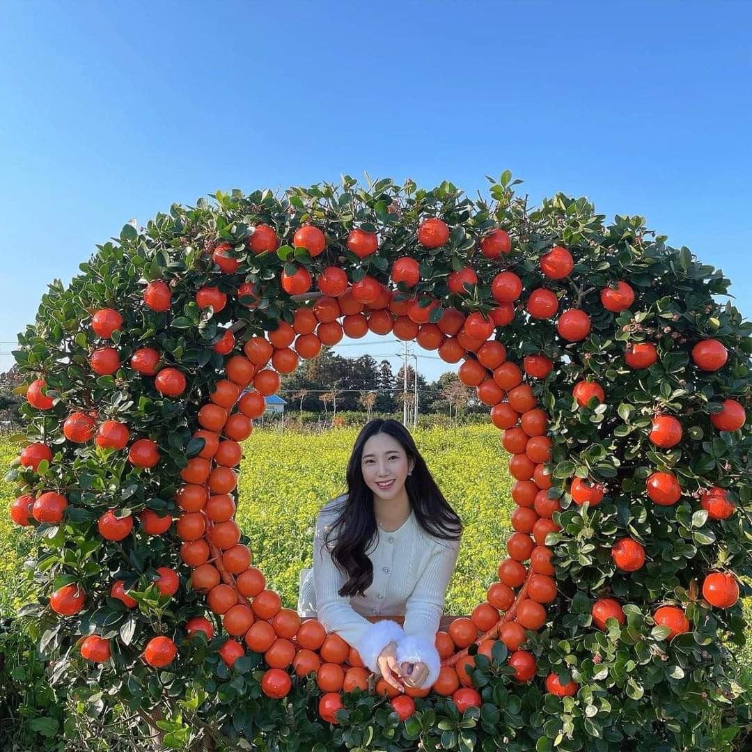 Cùng mỹ nhân xứ kim chi “xúng xính váy áo” check-in tại vườn quýt thôi nào! (Ảnh:_daegong_)