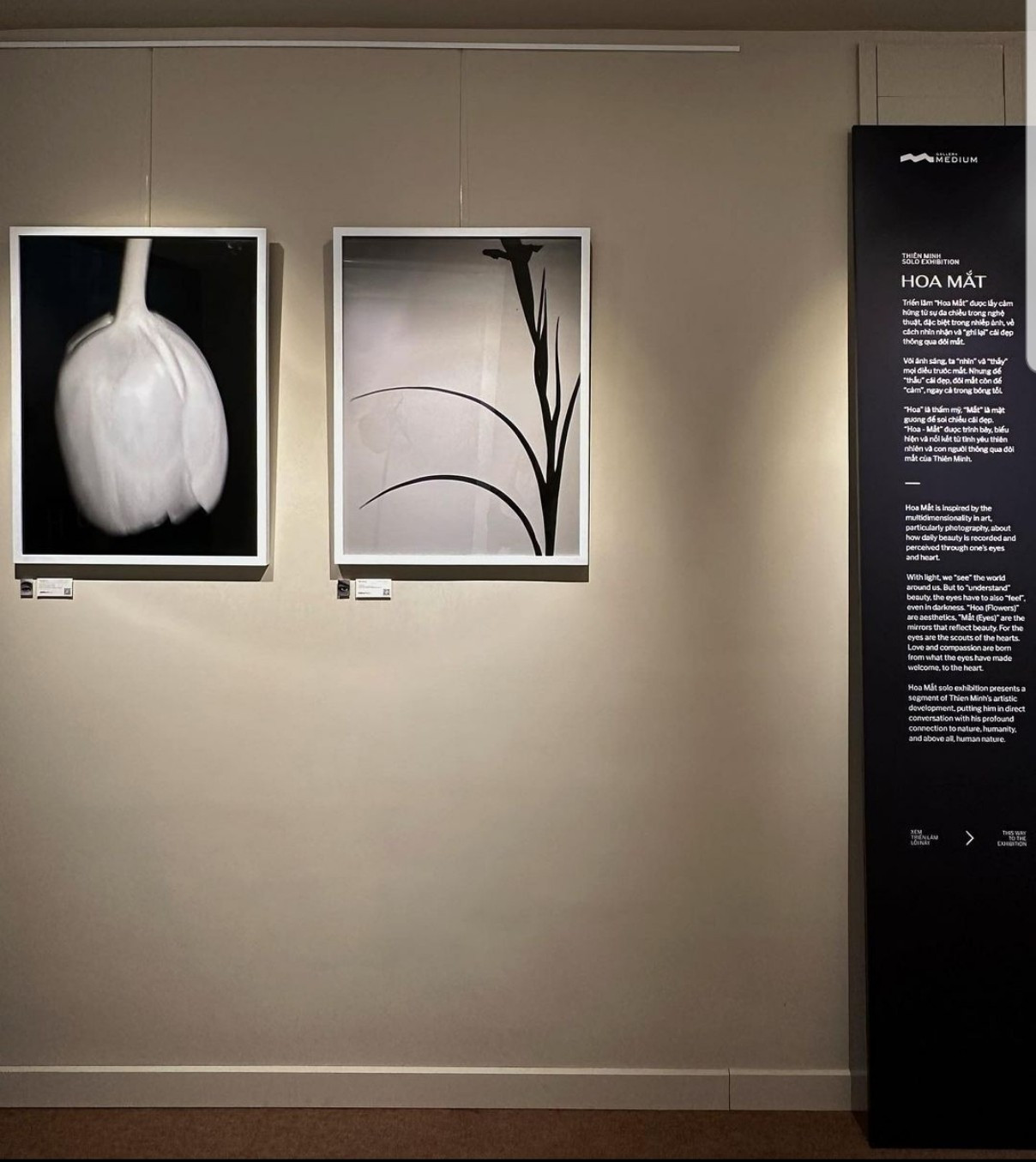 (Ảnh: yentrangnguyen_) (Ảnh: yentrangnguyen_)