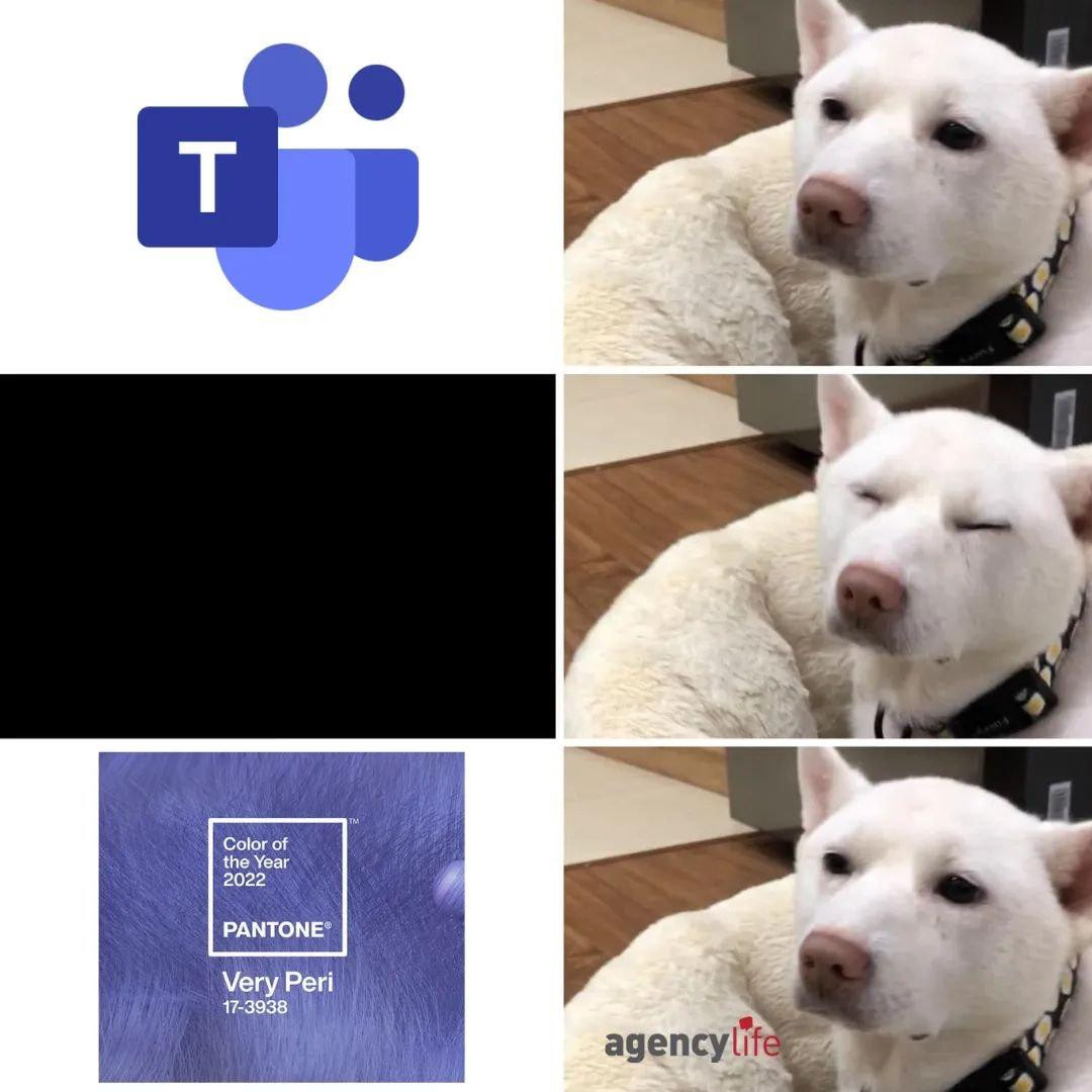 Gen Z đã đi trước xu hướng sử dụng Very Peri từ rất lâu rồi! (Ảnh: Nguyên Thảo) Gen Z đã đi trước xu hướng sử dụng Very Peri từ rất lâu rồi! (Ảnh: Nguyên Thảo)