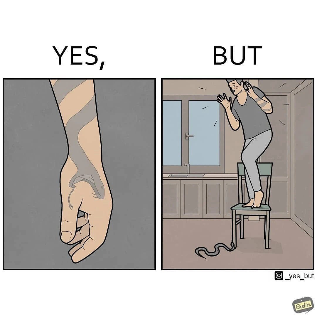 Đừng “nhìn mặt mà bắt hình dong” nha! (Ảnh: @gudim_public) Đừng “nhìn mặt mà bắt hình dong” nha! (Ảnh: @gudim_public)