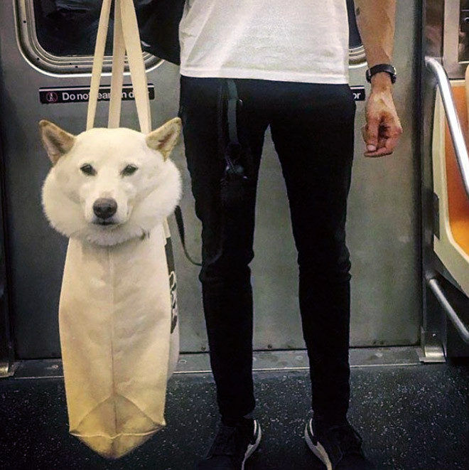 Có đáng yêu quá không vậy?! Có đáng yêu quá không vậy?!