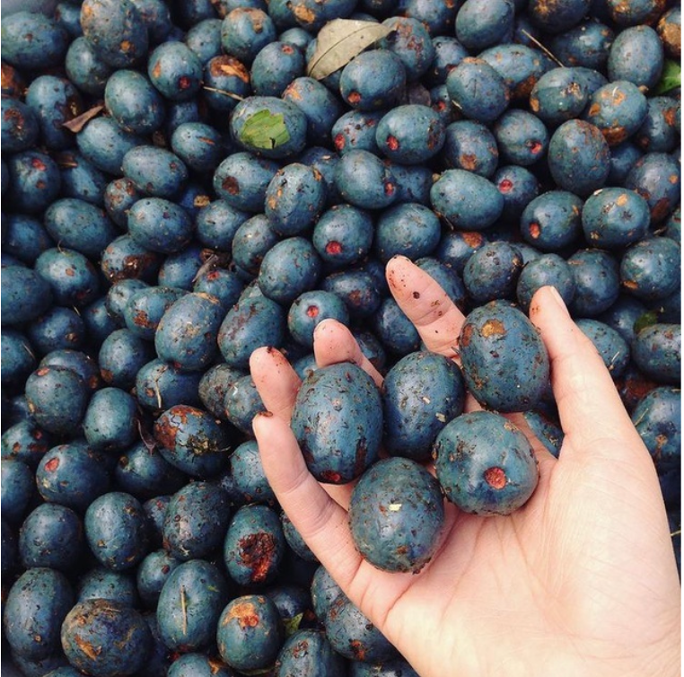 Món ăn tuổi thơ của thế hệ 8x, 9x.