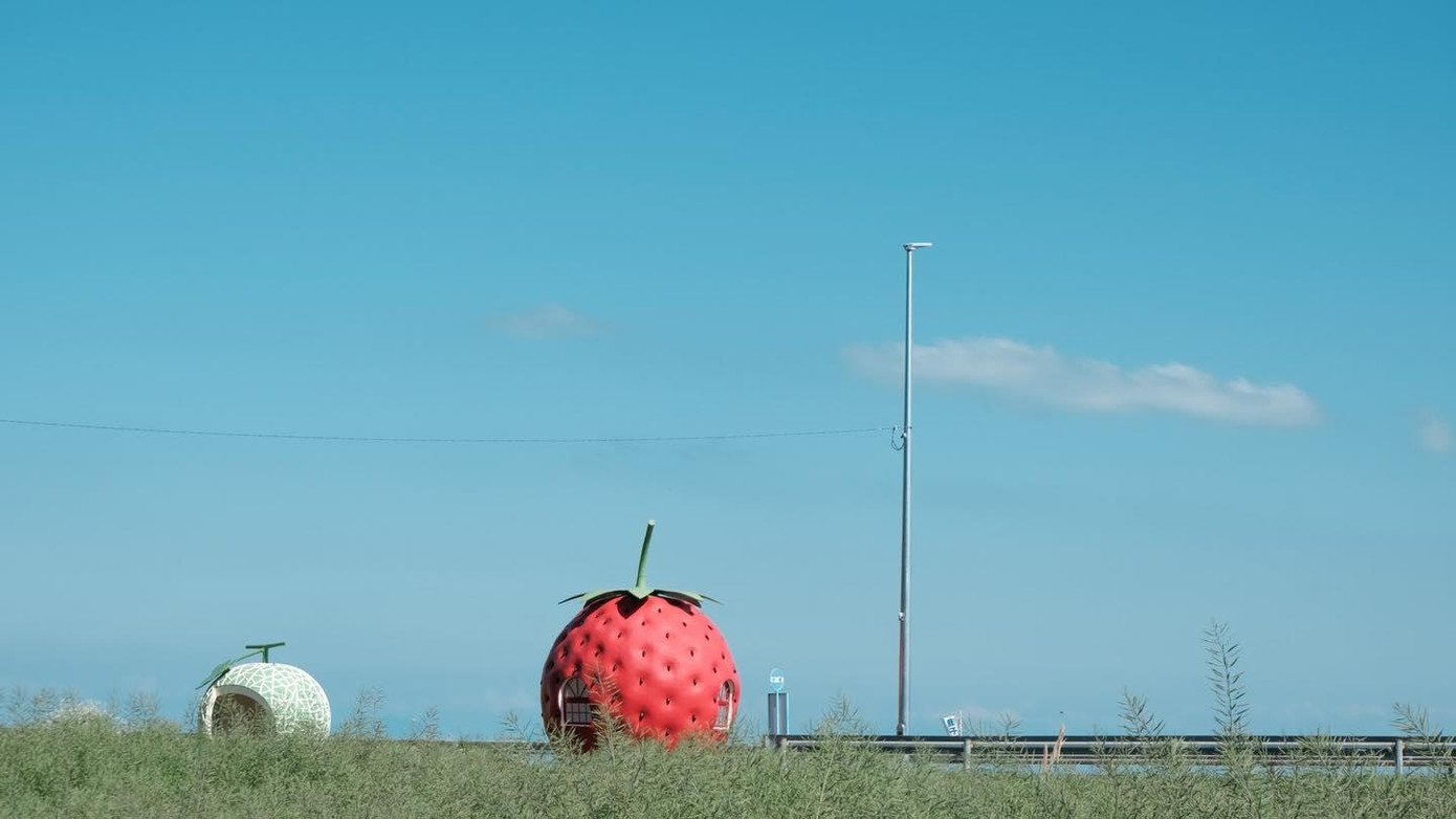 Khung cảnh mang cảm giác tươi mát và đáng yêu từ những trạm xe buýt.