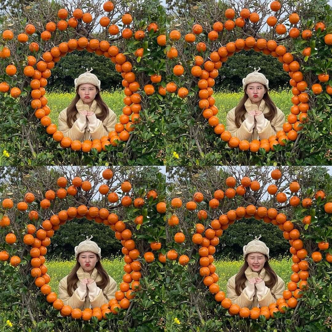 Background hết nước chấm tại vườn quýt. (Ảnh:2_naaaa)