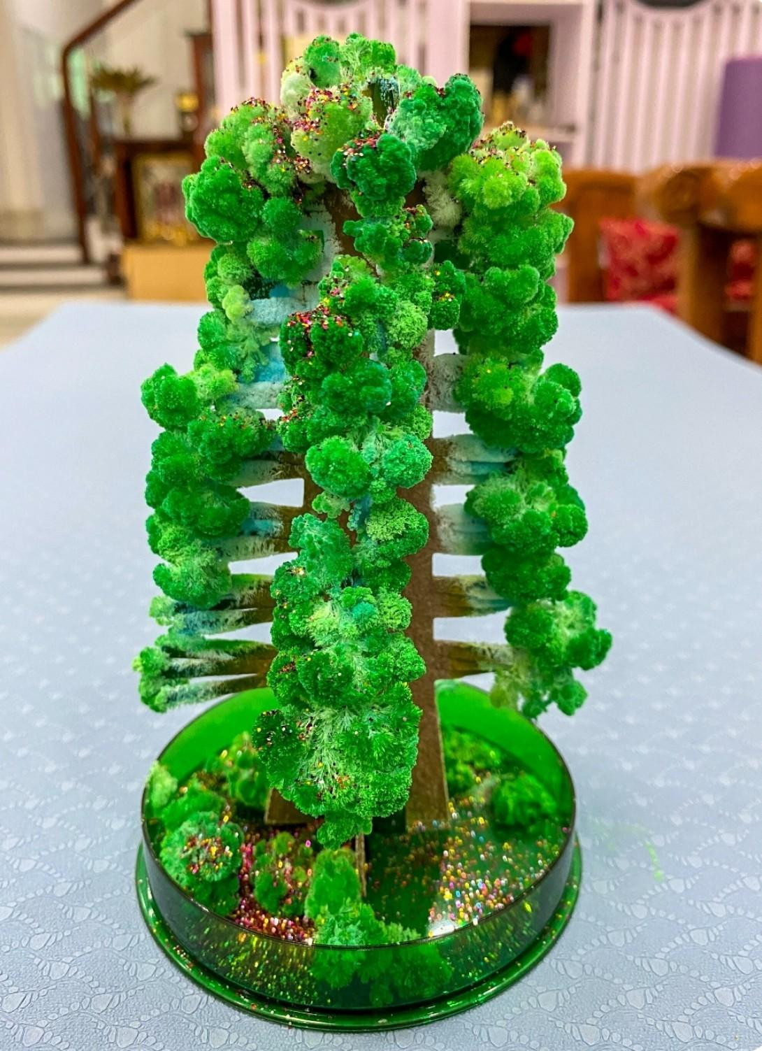 Món đồ chơi “hot hit” nhất trong mùa Noel. (Ảnh: Internet)