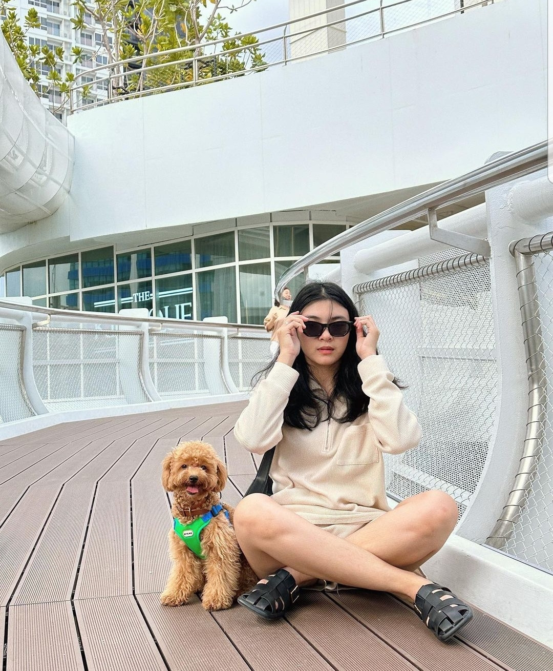 Check-in cùng cún yêu tại Marché Thonglor. (Ảnh: guchoul.lovespeed)