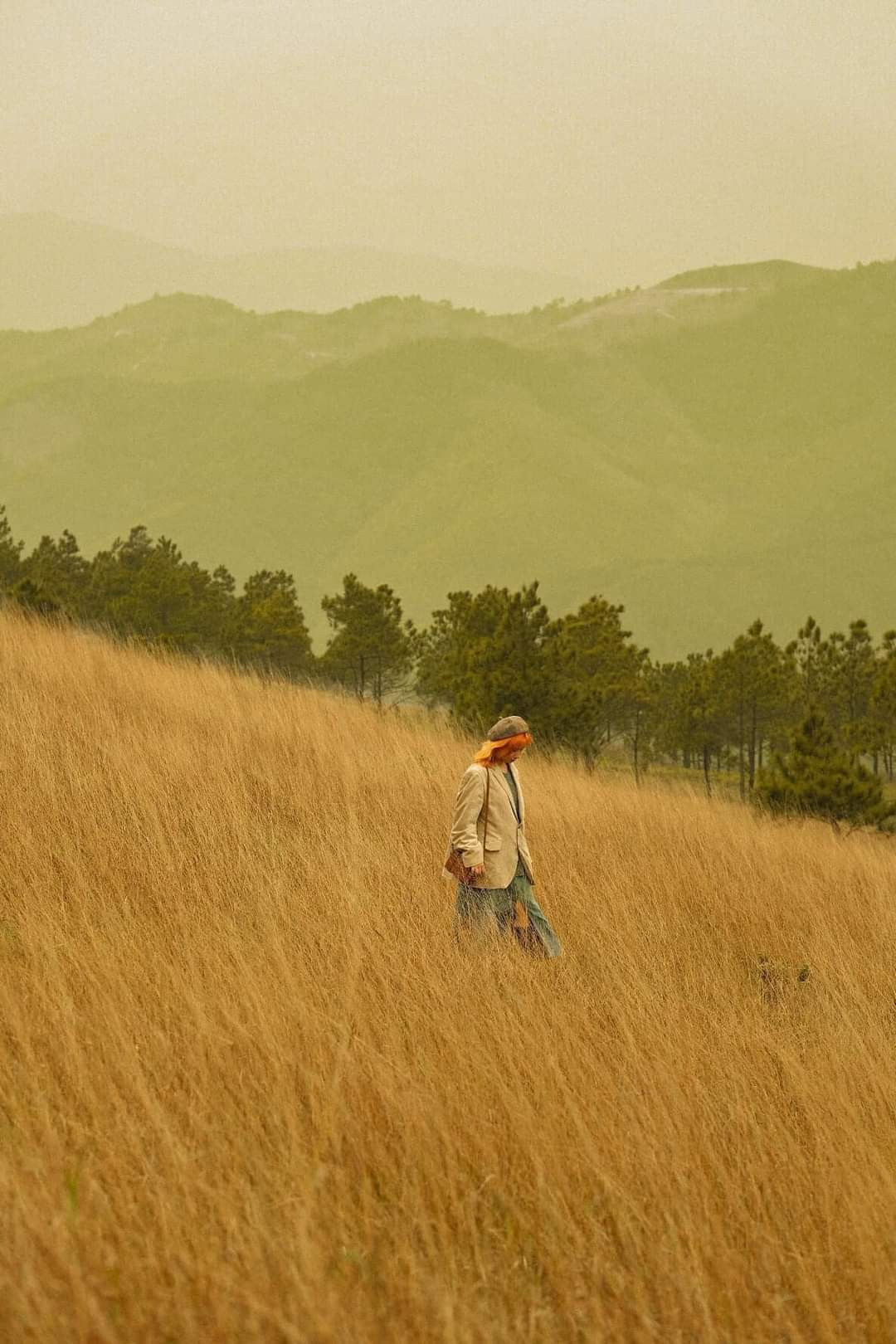 “Tọa độ” sống ảo “làm mưa làm gió” những ngày qua. Ảnh: Cừu Bé