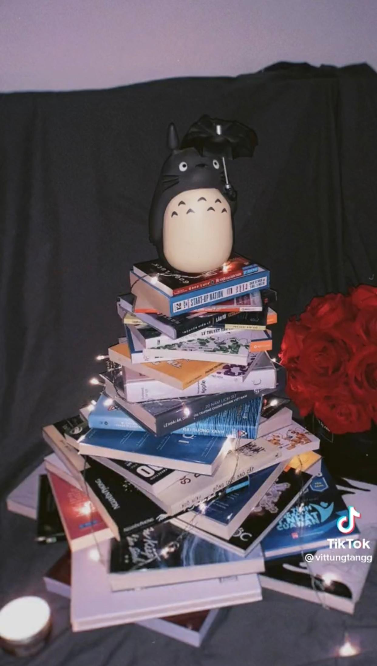 Vẫn lung linh, độc lạ và tràn đầy không khí Giáng sinh! (Ảnh: @vittungtangg)