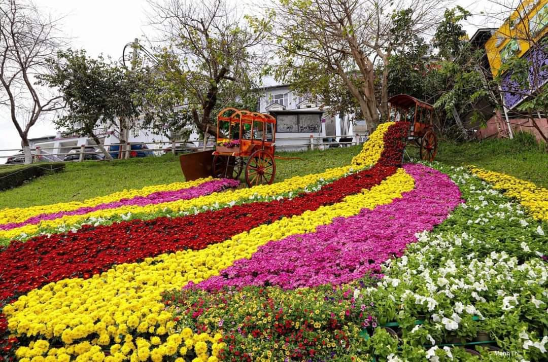 Sắc hoa túy điệp rực rỡ cả một góc công viên. (Ảnh: Thế Văn) Sắc hoa túy điệp rực rỡ cả một góc công viên. (Ảnh: Thế Văn)