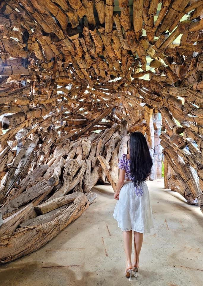 Sự độc đáo, mới mẻ của Haslla được mọi người “săn đón” nhiệt tình.