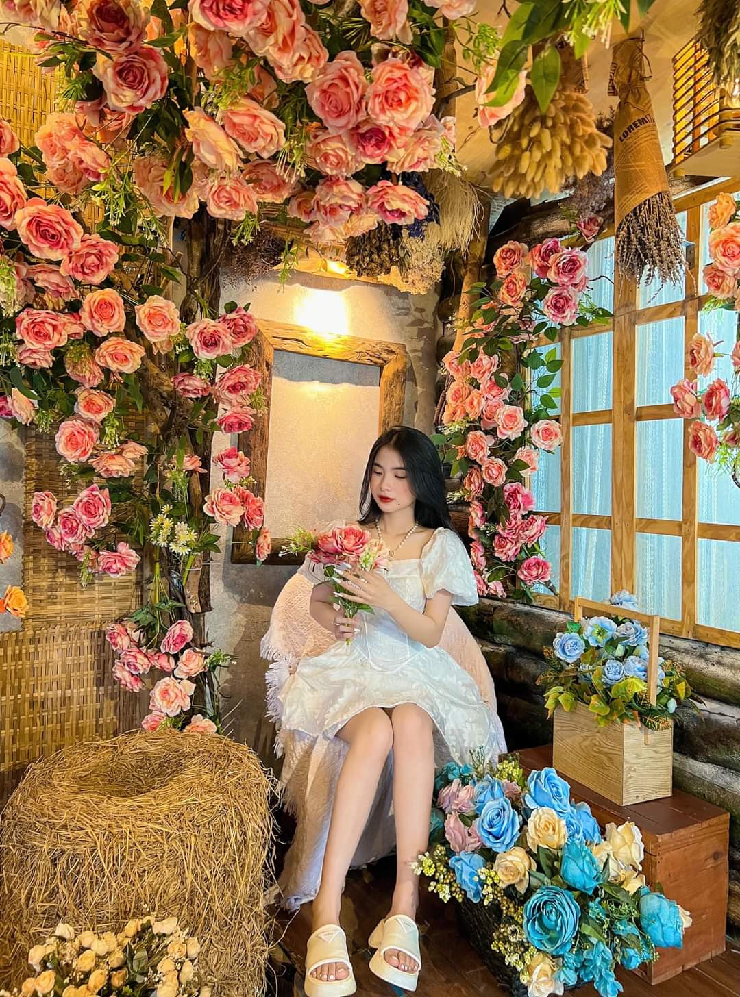 Góc đồng quê rợp hoa hồng “đốn tim” hội mê chụp ảnh. (Ảnh: Chích Bông)