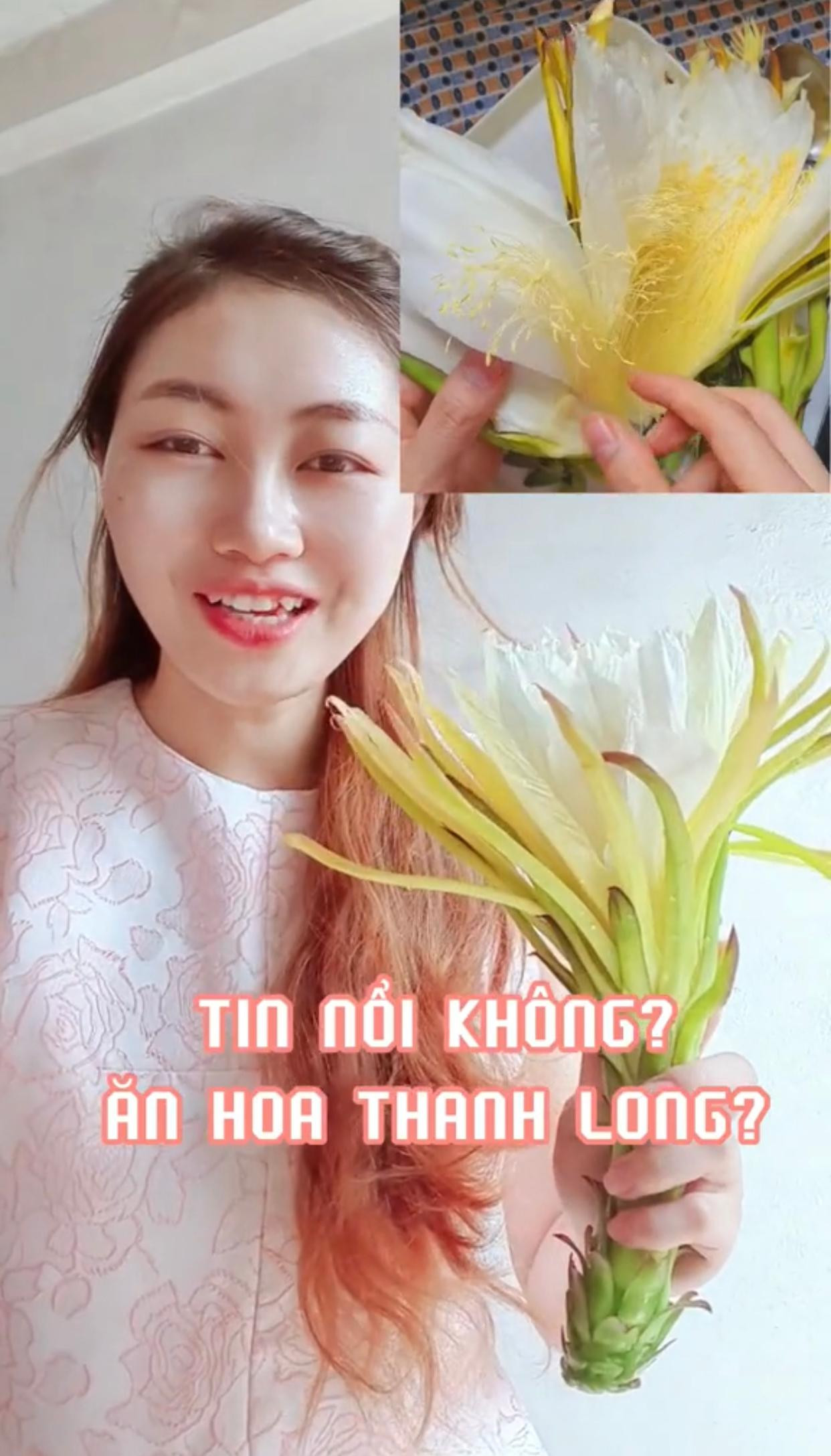 Bạn sẽ phải bất ngờ với “bí mật” đằng sau vẻ đẹp của những loài hoa quen thuộc! (Nguồn: @muonanngon) Bạn sẽ phải bất ngờ với “bí mật” đằng sau vẻ đẹp của những loài hoa quen thuộc! (Nguồn: @muonanngon)