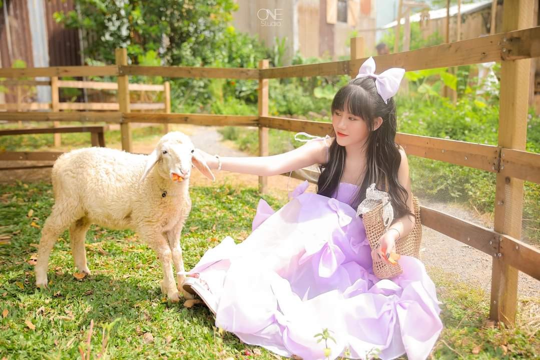 Chụp ảnh cùng các bé cừu là một trong những hoạt động không thể bỏ lỡ khi ghé thăm Sunny Farm. (Ảnh: Tí Khuẩn)