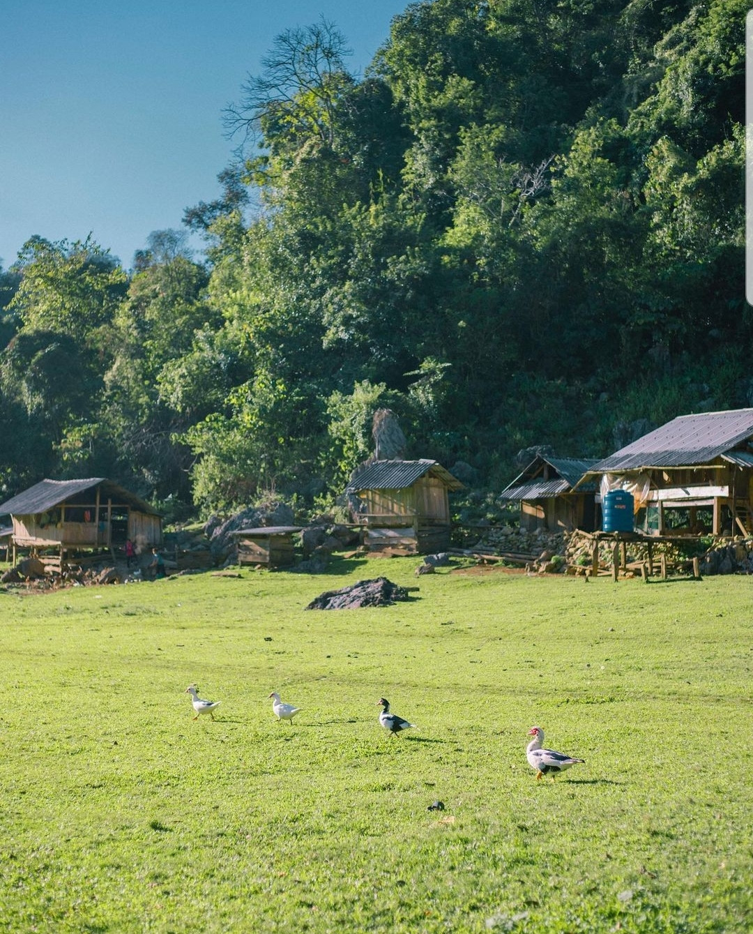 Bản làng mộc mạc, bình yên. (Ảnh: mavis.vivuky)