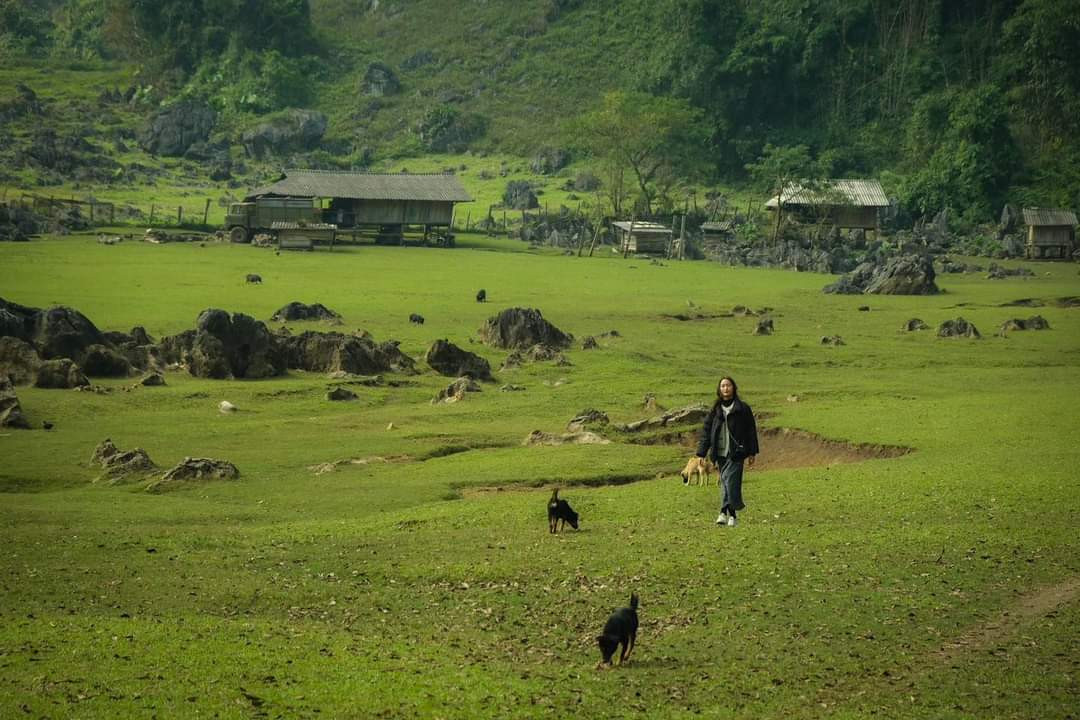 Đồng cỏ xanh cực mát mắt và là chiếc view thu hút các Gen Z. (Ảnh: Đỗ Tú)