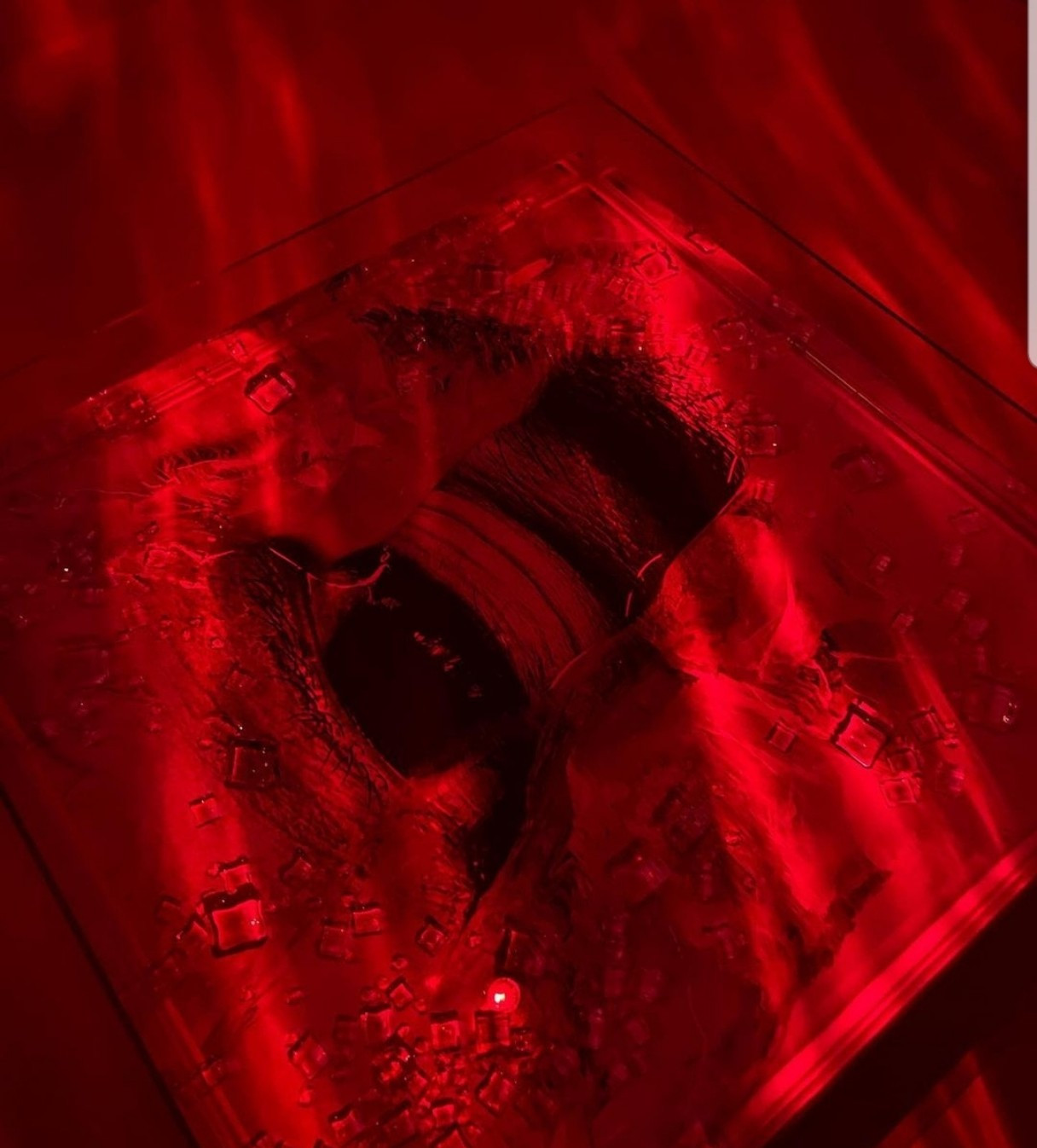 (Ảnh: lorelei.khl) (Ảnh: lorelei.khl)